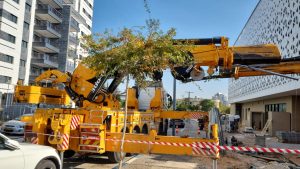 WhatsApp Image 2025-11-28 at 11.24.17